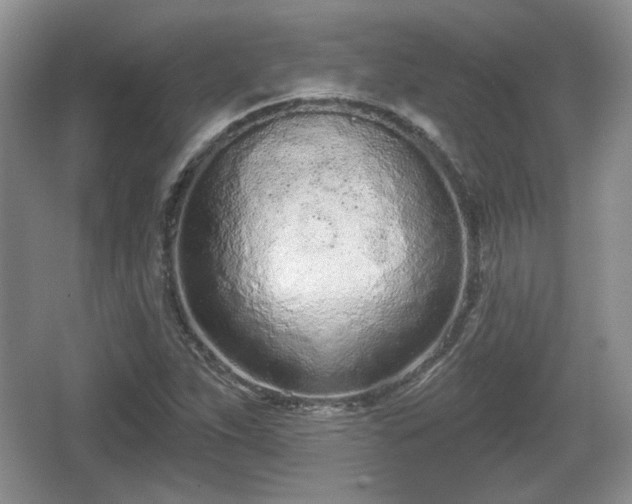 X0000067331263200604071316