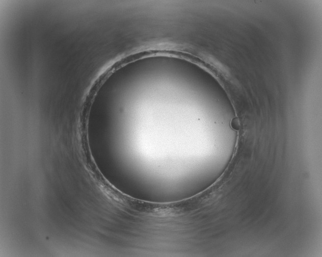 X0000067331264200604071316