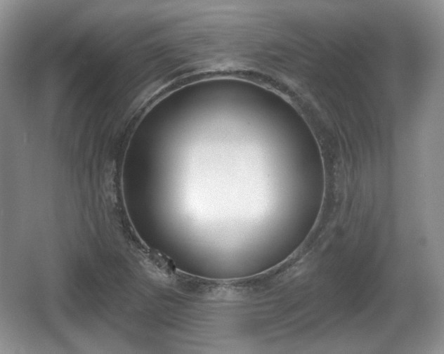 X0000067331265200604071316