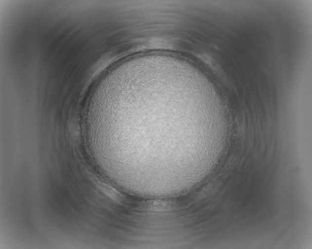 X0000067331266200604071316