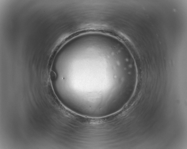 X0000067331267200604071316