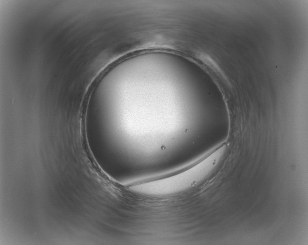 X0000067331268200604071316