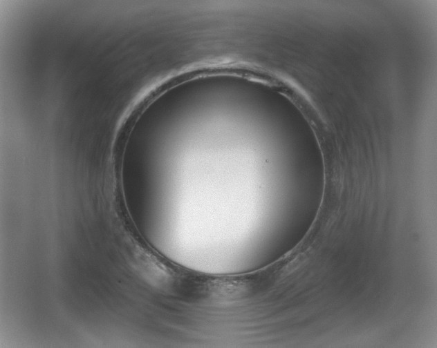 X0000067331270200604071316