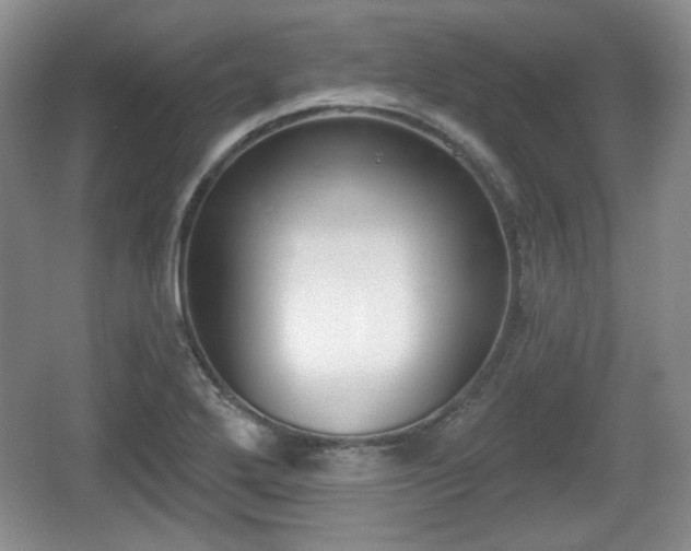 X0000067331272200604071316