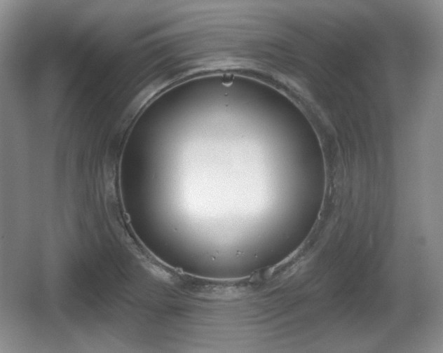 X0000067331273200604071316