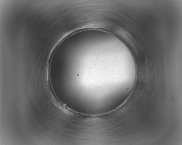 X0000067331276200604071316