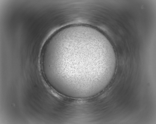 X0000067331278200604071316