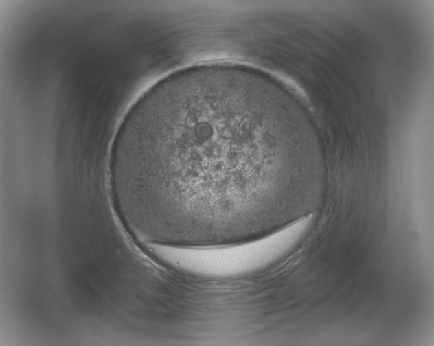 X0000067331279200604071316