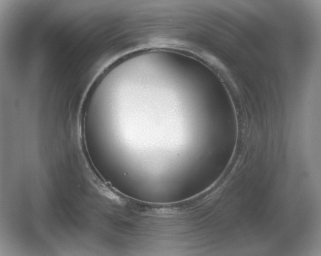 X0000067331280200604071316