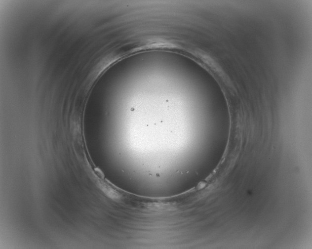 X0000067331281200604071316