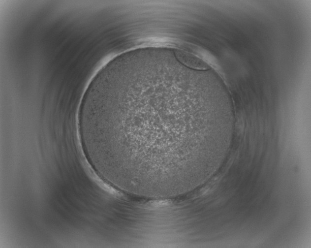 X0000067331283200604071316