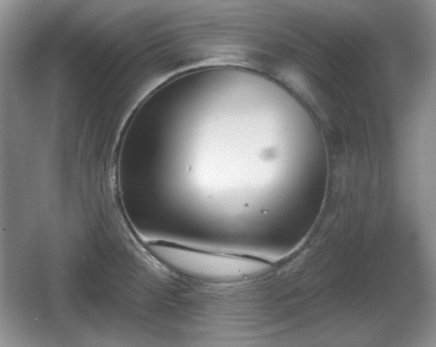 X0000067331284200604071316