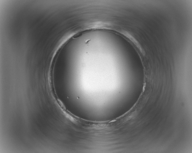 X0000067331285200604071315