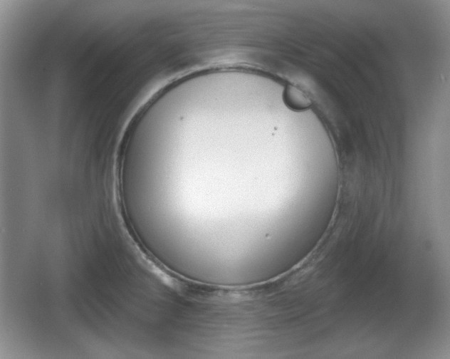 X0000067331286200604071315