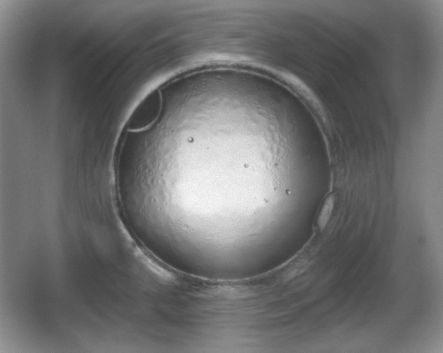 X0000067331287200604071315