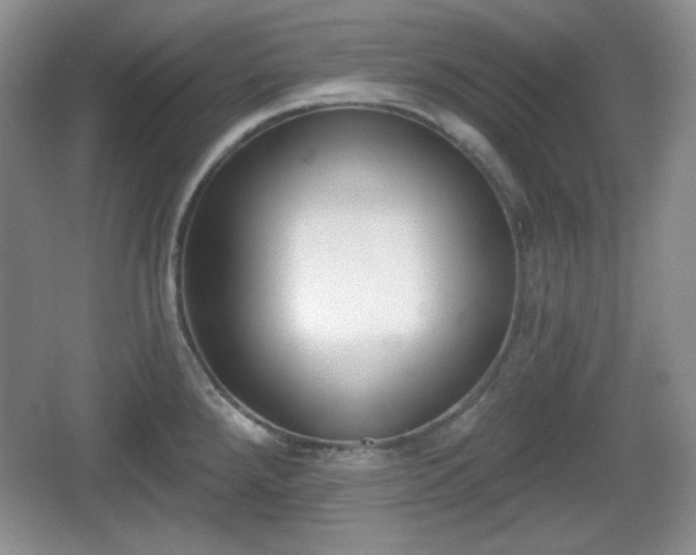 X0000067331288200604071315