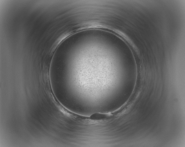 X0000067331289200604071315