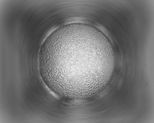 X0000067331290200604071315