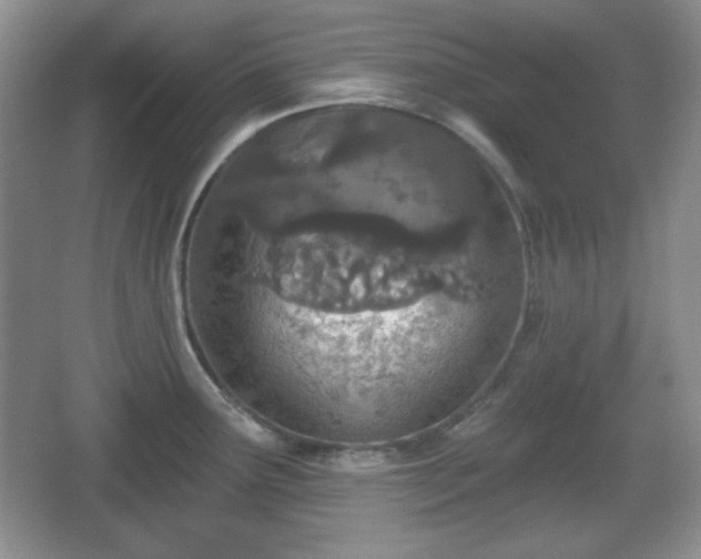 X0000067331291200604071315