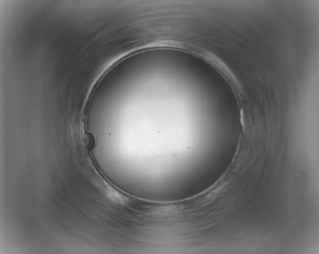 X0000067331292200604071315