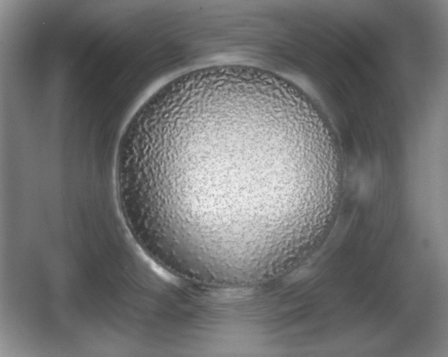 X0000067331294200604071315