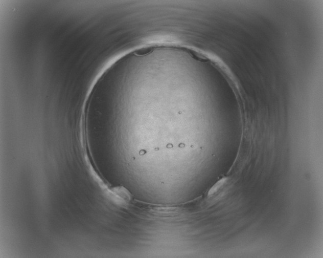 X0000067331295200604071315