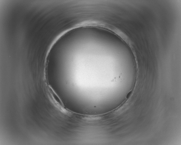 X0000067331296200604071315