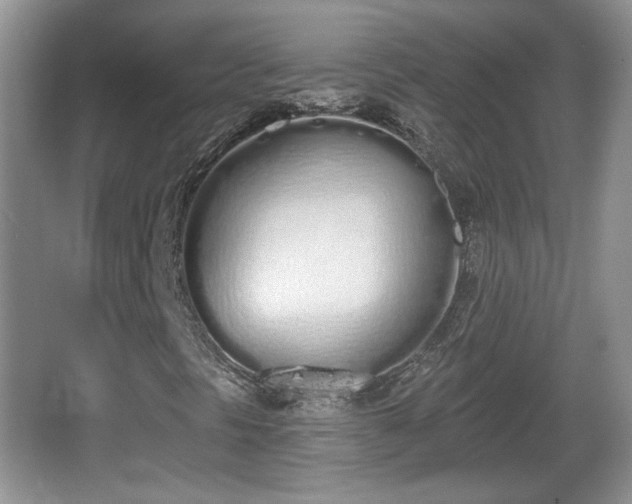 X0000067331297200604071315