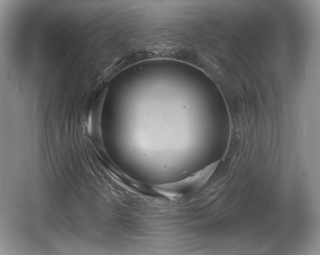 X0000067331298200604071315