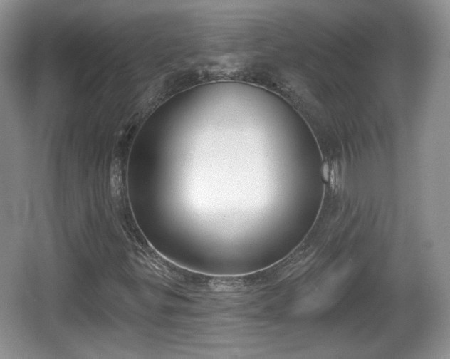 X0000067331299200604071315