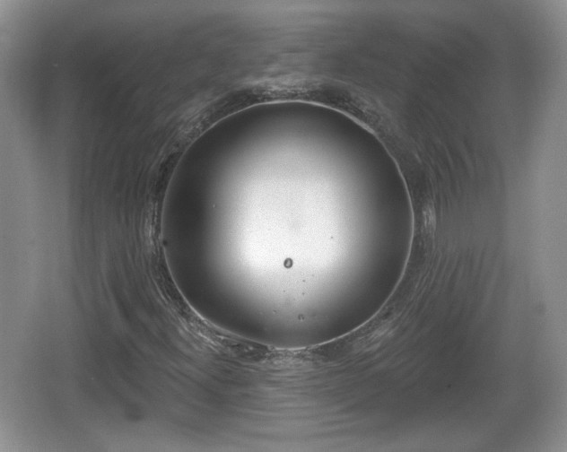 X0000067331300200604071315