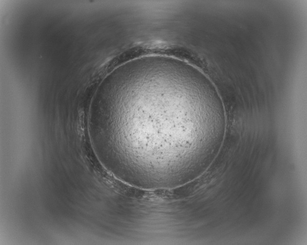 X0000067331301200604071315