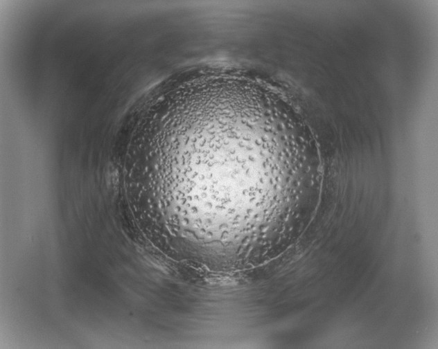 X0000067331302200604071315