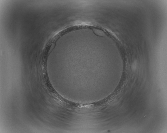 X0000067331303200604071315