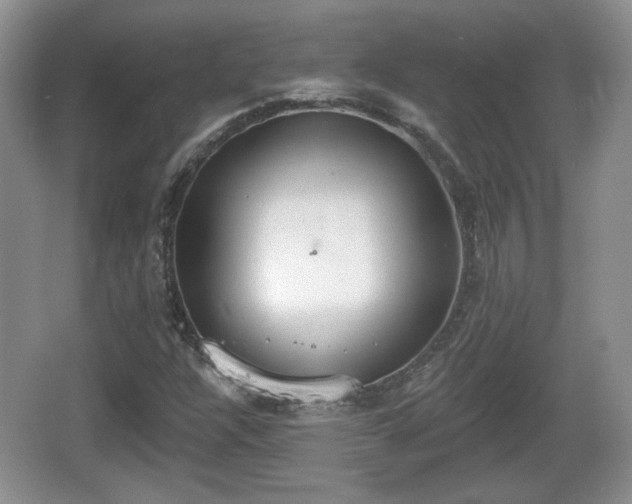 X0000067331304200604071315