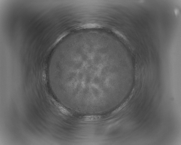 X0000067331305200604071315