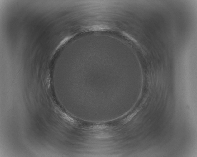 X0000067331306200604071315