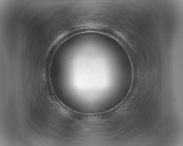 X0000067331307200604071315