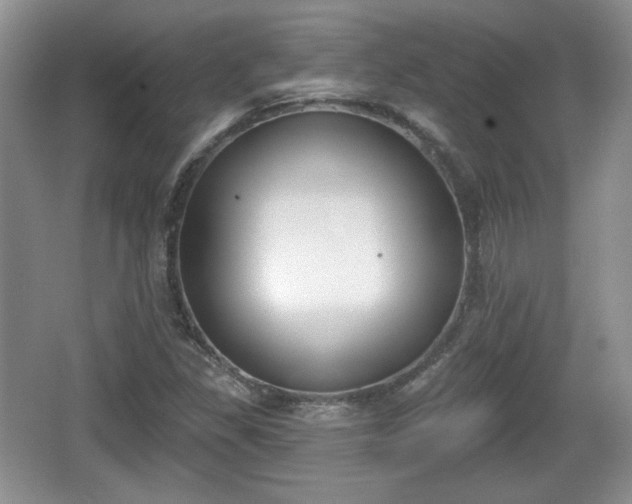 X0000067331309200604071315