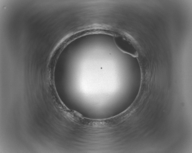 X0000067331310200604071315