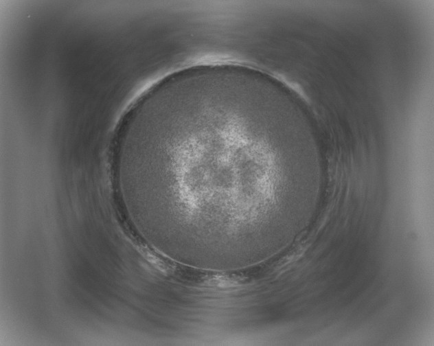 X0000067331311200604071315