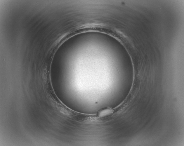 X0000067331313200604071315