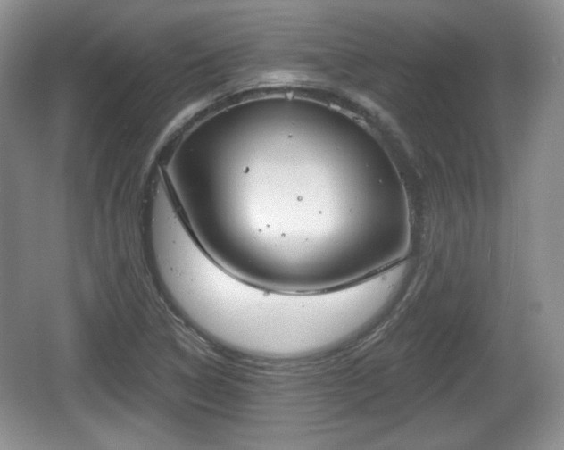 X0000067331314200604071315