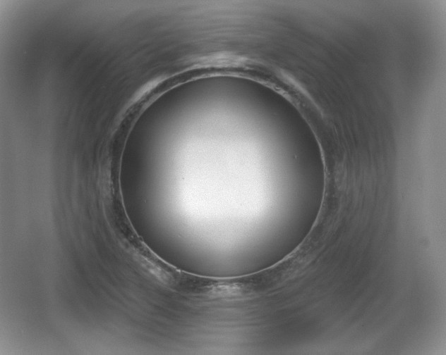 X0000067331315200604071315