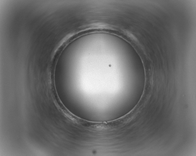 X0000067331318200604071315