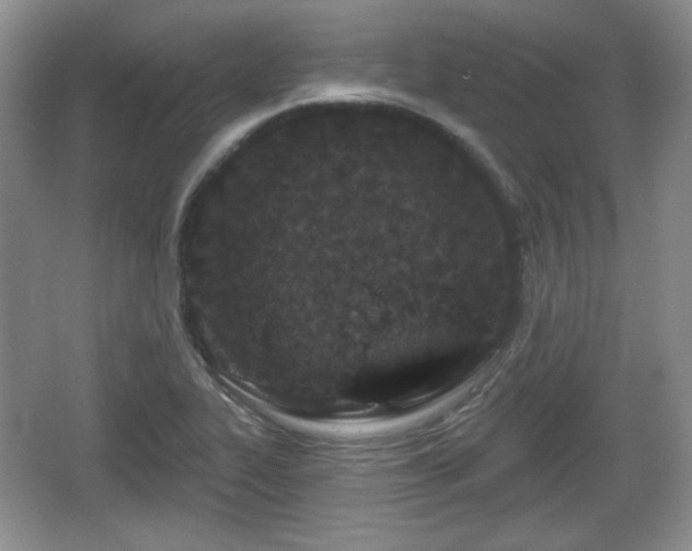 X0000067331319200604071315