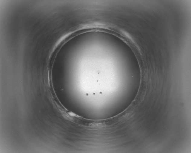 X0000067331320200604071315