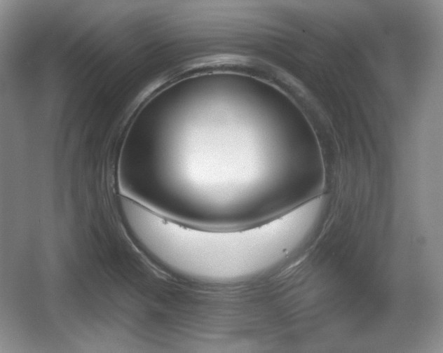 X0000067331321200604071315