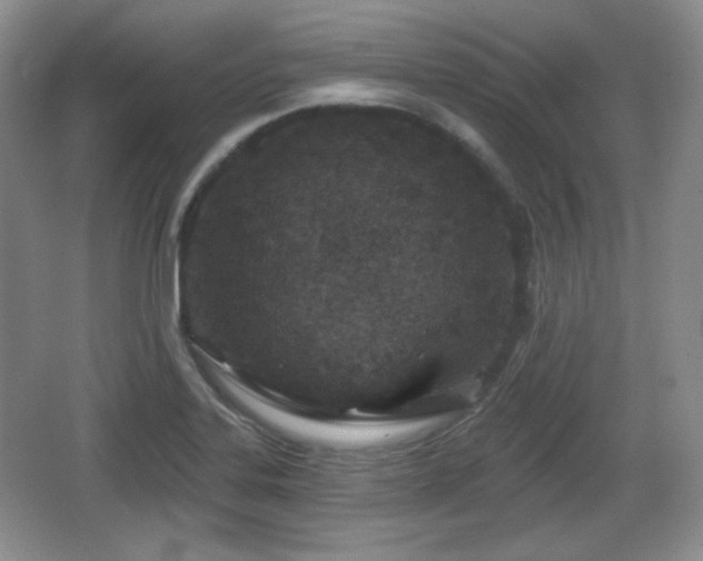 X0000067331323200604071315