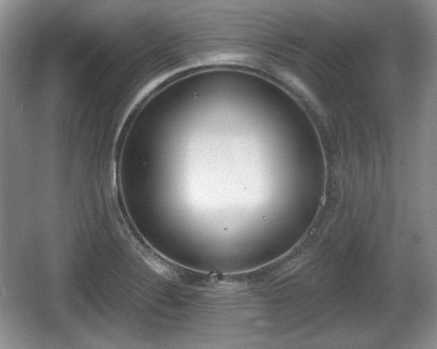 X0000067331324200604071315